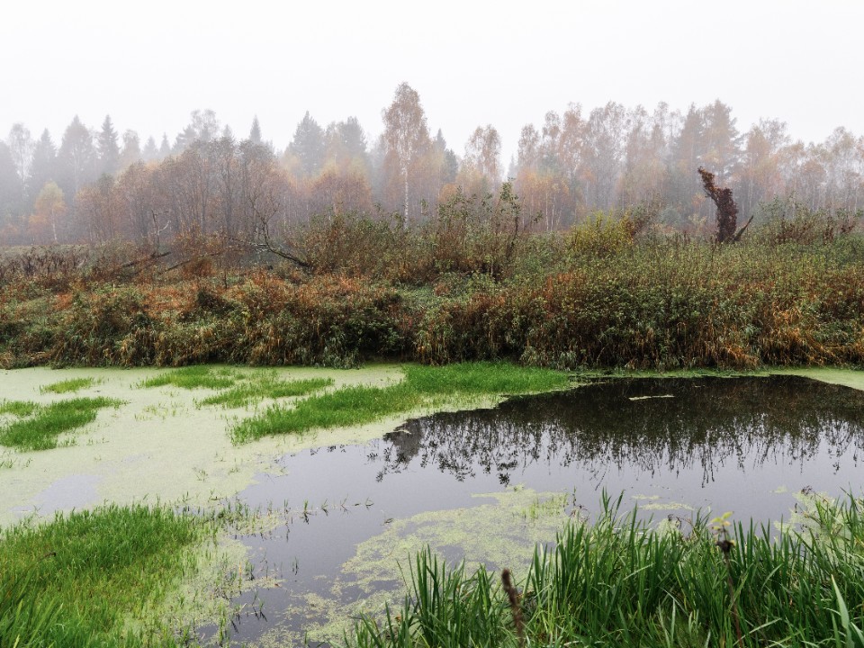 Радикальное прощание с сезоном аренды электросамокатов устроили в Пушкино