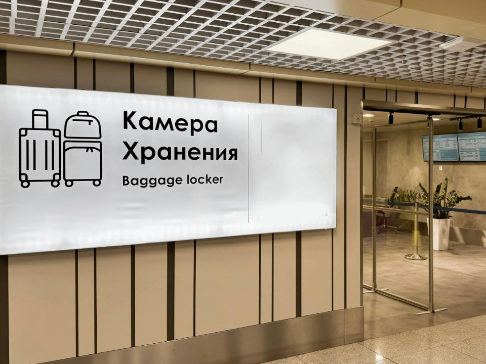 Где сдать багаж на хранение в аэропорту Домодедово: полный гид