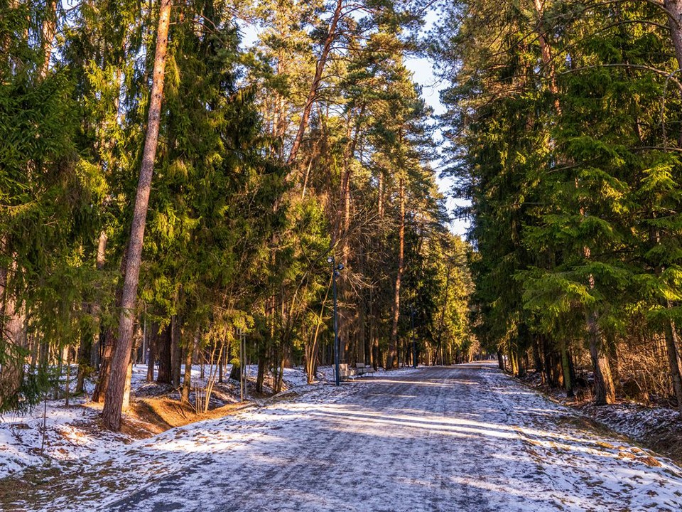 Зима откладывается на неделю: что сказал синоптик Тишковец о погоде 5-9 ноября