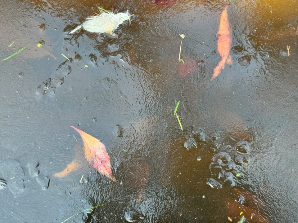 Оттепель сменится морозом: арктический воздух принесет в Подмосковье снег и гололед