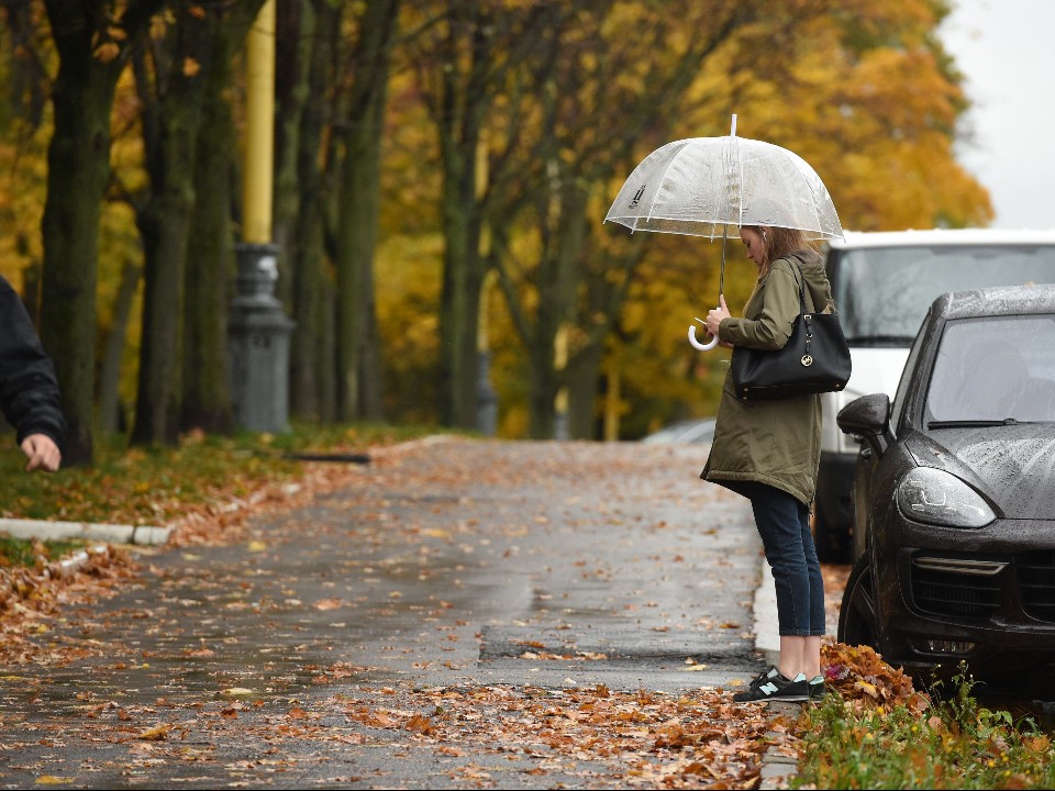 Когда придет метеорологическая зима? Жителей столичного региона удивили прогнозом на середину ноября