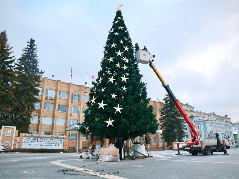 Главная елка Волоколамска зажжет огни 1 декабря