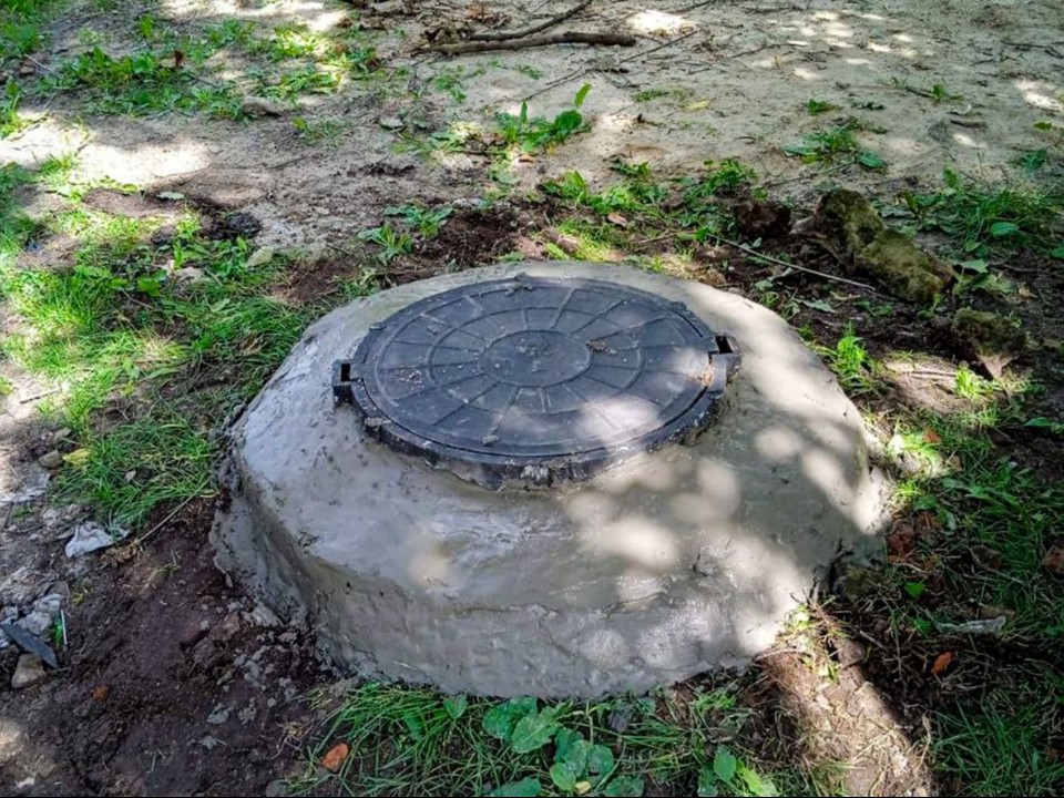 Почему совет «посадить березу возле септика» опасен: что реально случится с грунтом и финансами владельца