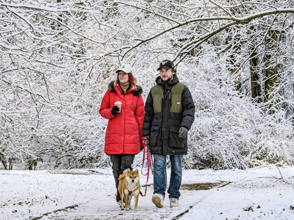 Зима в пределах нормы: экстремальные морозы не придут в Московский регион