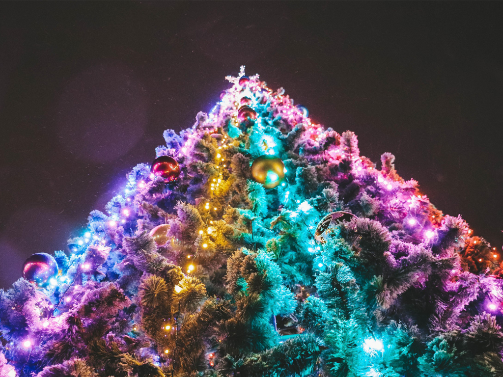 Зарайцев приглашают вместе украсить новогоднюю елку в парке