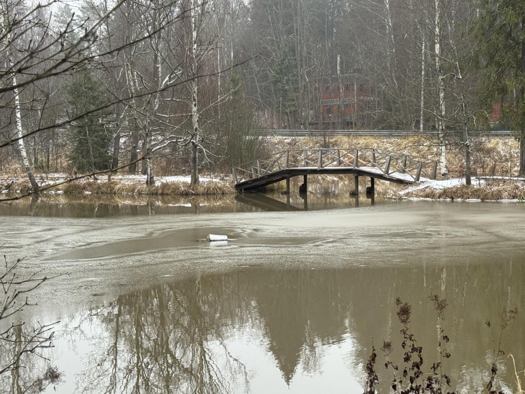 Пруд в «Абрамцево», вдохновлявший художника Васнецова, очистят, если поддержат жители