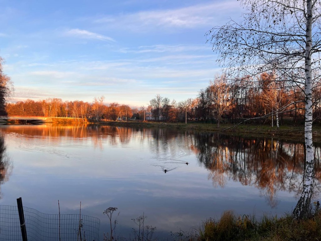 Зимы не будет? Синоптик Вильфанд сообщил, что снегопадов в Подмосковье не будет еще 10 дней