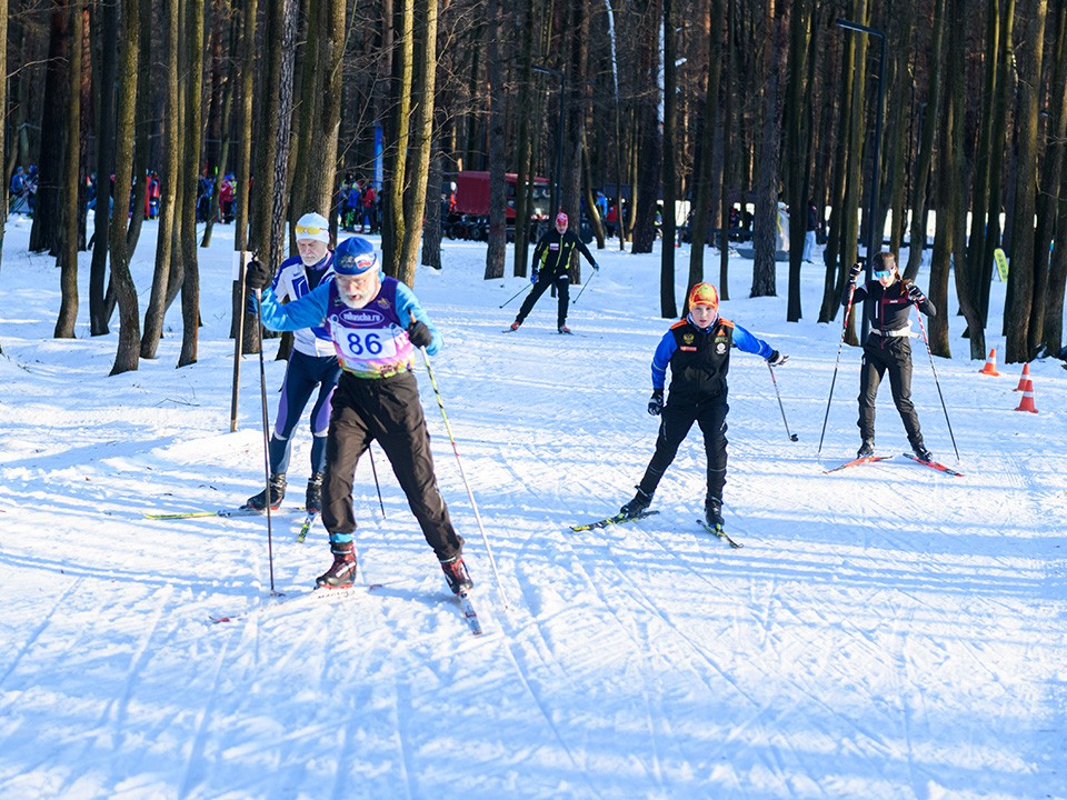 Семь крупных лыжных стартов пройдут на трассе в Нововоронине зимой