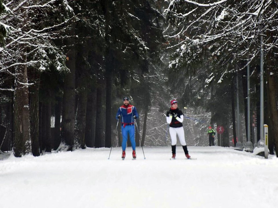 Лыжную трассу подготовят в лесопарке «Северный» в Пушкино зимой