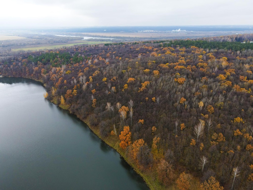 Самим решить судьбу водоемов Каширы: где и как проголосовать за очистку прудов и озер округа в 2026 году