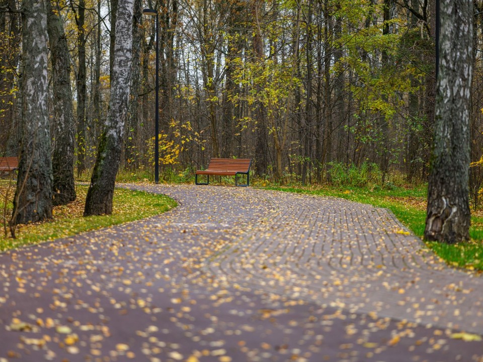 Гороскоп для всех знаков Зодиака 15 ноября 2025: Овны решат старые вопросы, Львам не помешает внимательность, а Стрельцы пойдут на риск