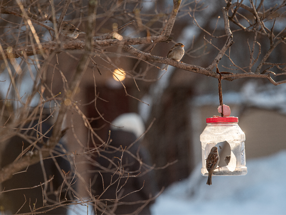 Чего не было с 1772 года: климатологи предупредили об уникальной зиме в России