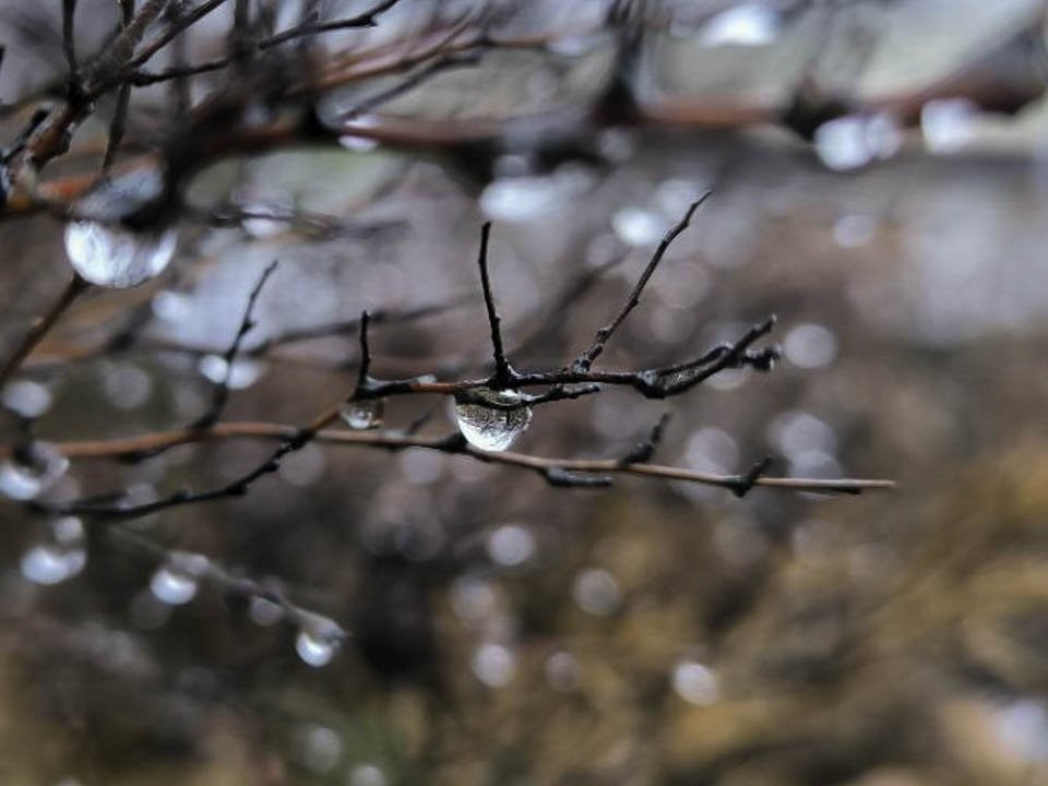 Пасмурная погода с осадками ожидается в пятницу