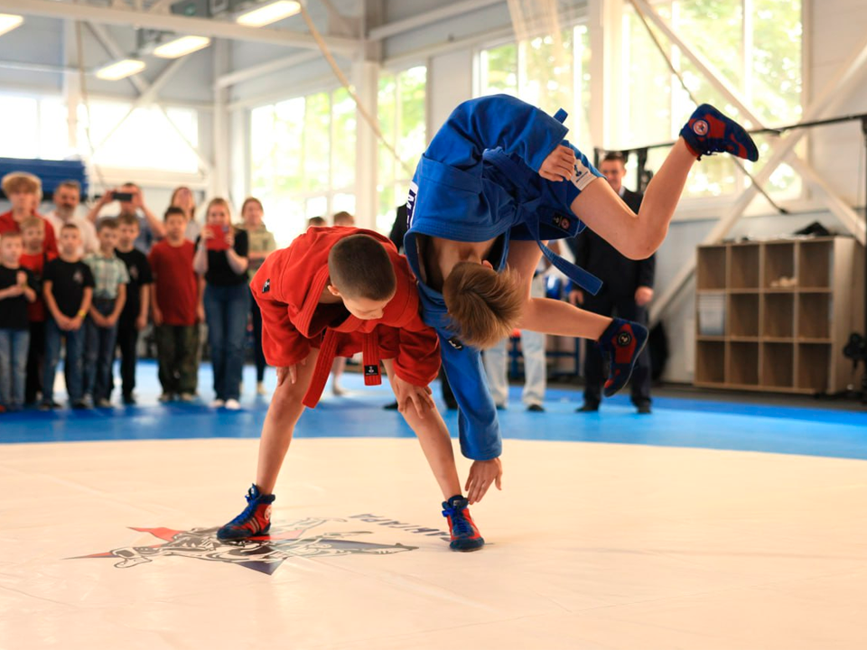 День самбо: десятки побед и сильные спортивные школы