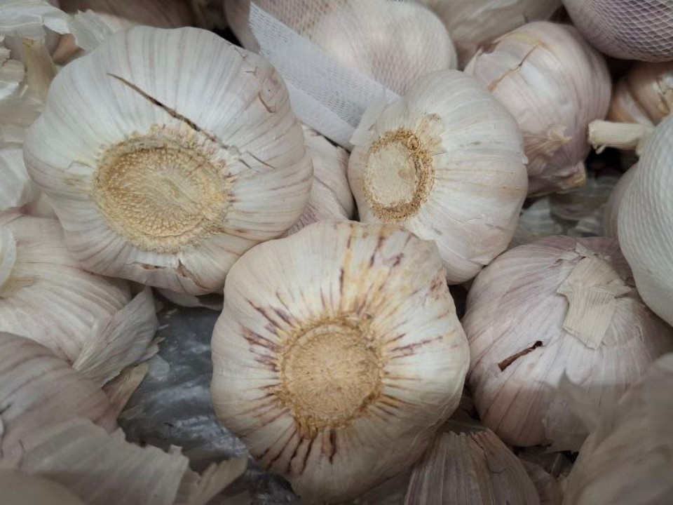 Металлическая ложка против запаха чеснока: REGIONS провел честный тест популярного совета