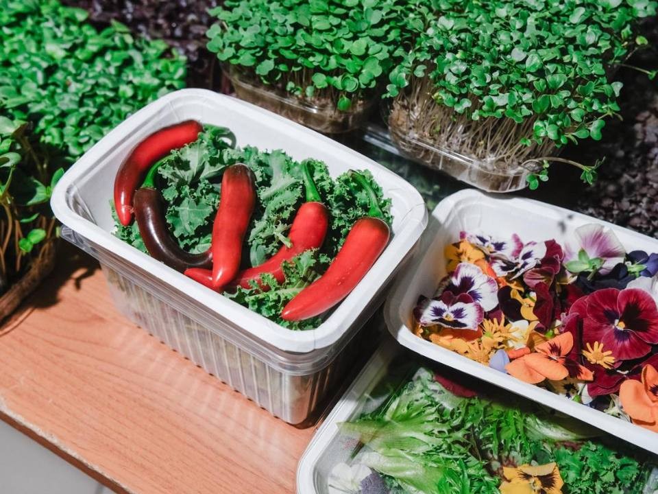 Мясные деликатесы, орехи и сыры: выставка в Орехово-Зуеве показала все разнообразие местной продукции