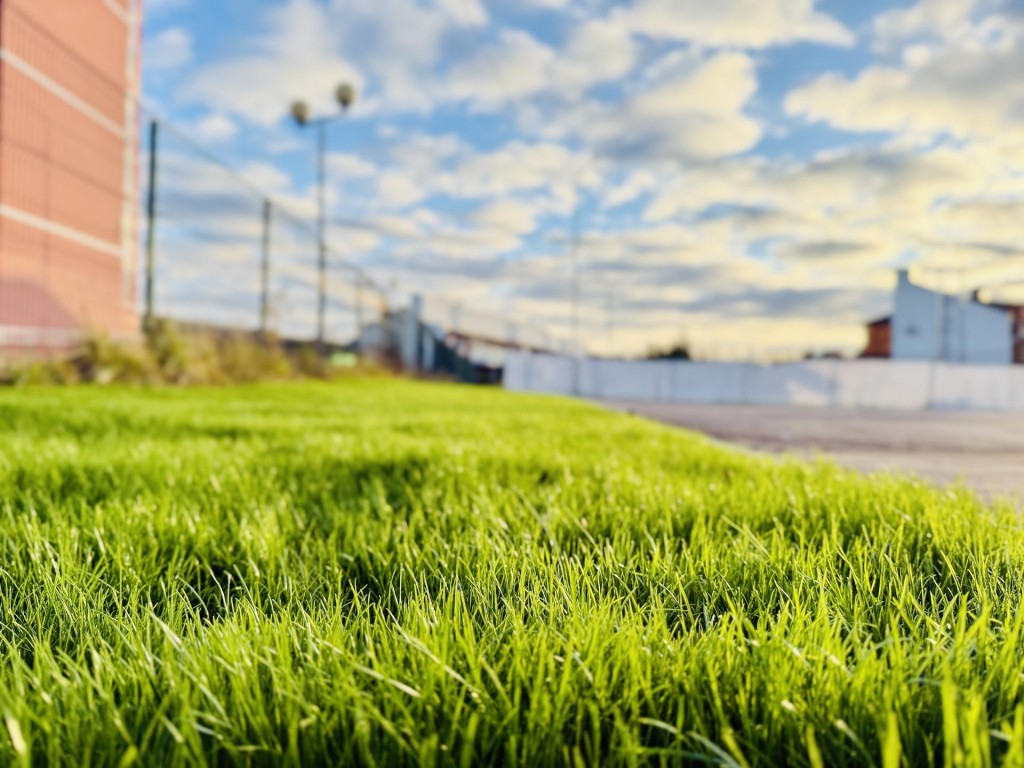 На месте пустыря в Кратово появится детская площадка для 400 семей с детьми