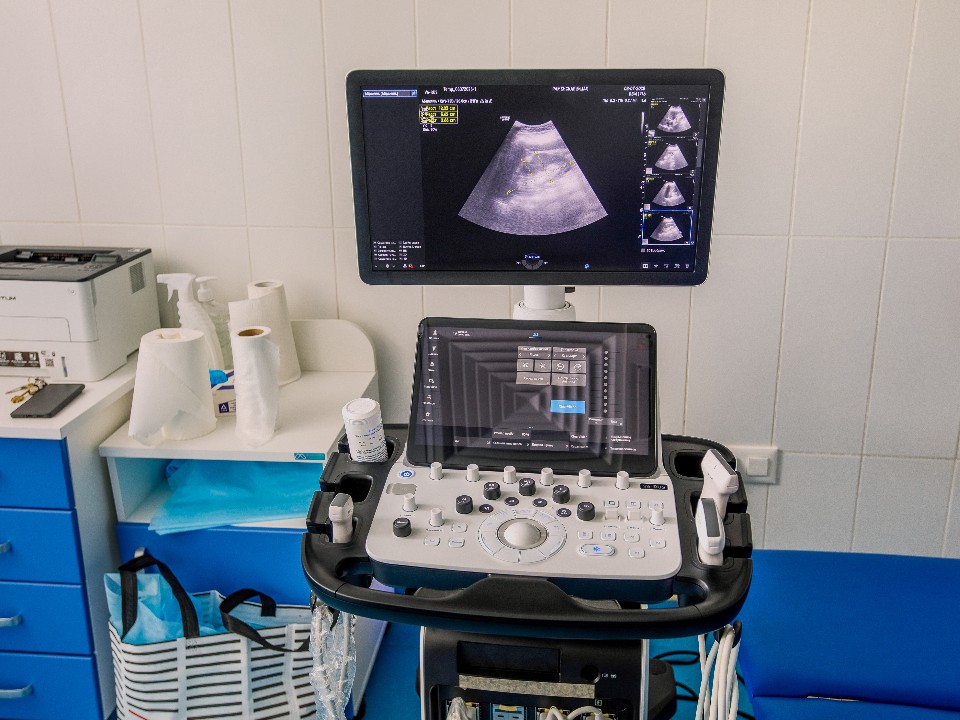 Цифра в белых халатах: как ИИ сэкономил сотни часов врачам Подмосковья на УЗИ