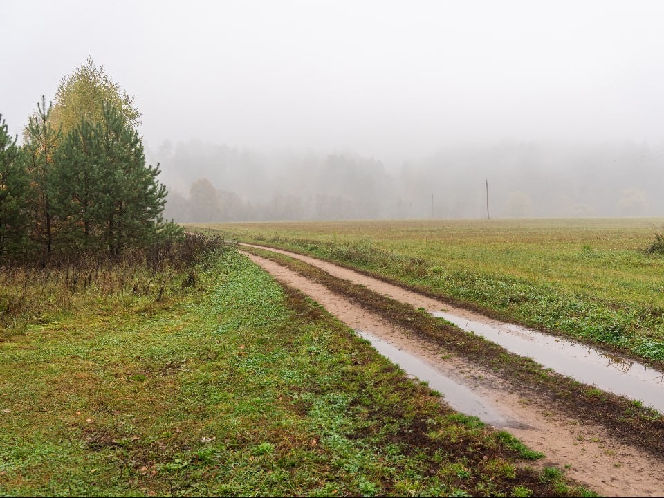 Ждать ли скачков? Атмосферное давление в Москве и Подмосковье с 3 по 9 ноября 2025 года