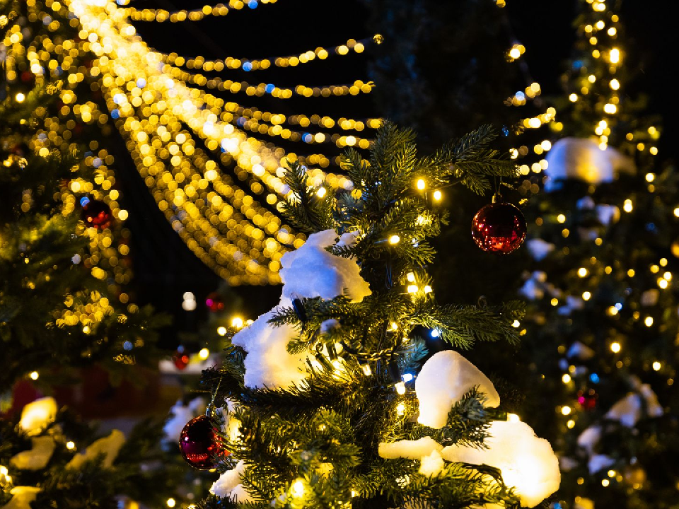 Главную новогоднюю елку Дубны в этом году установят в Левобережье