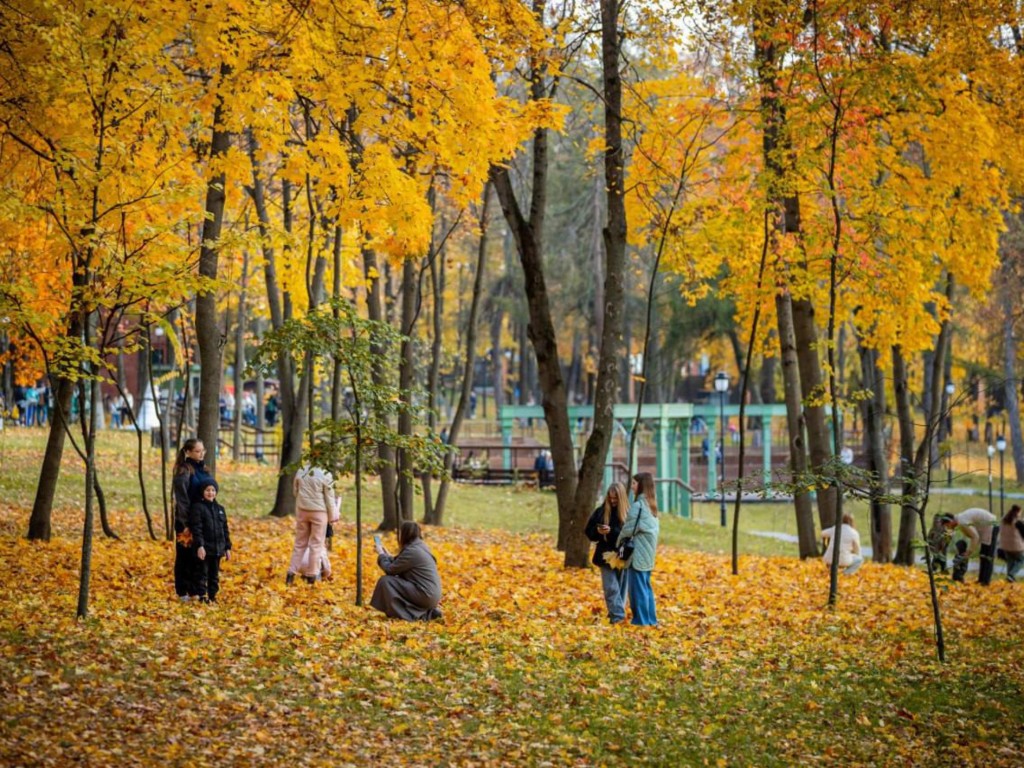 Раменский парк приглашает на активности в первые ноябрьские дни