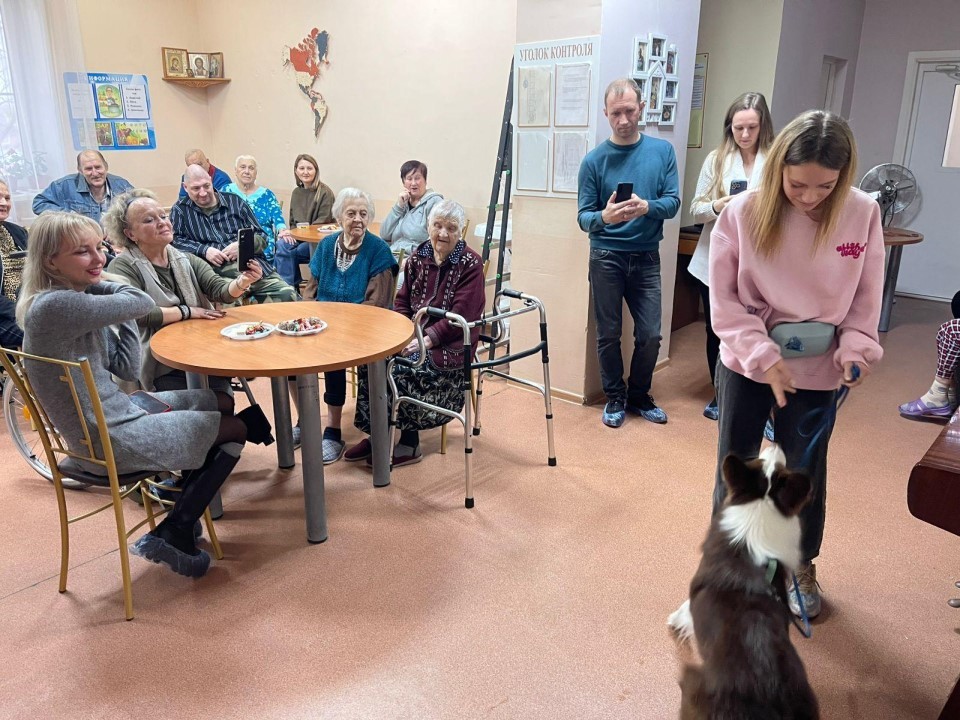 Гав‑терапия или хвостатые доктора в деле! Как четвероногие друзья помогают пожилым людям восстанавливать здоровье