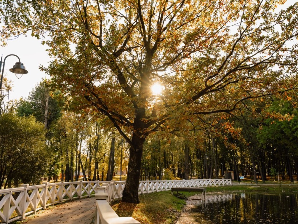 Воскресенцев приглашают на культурные каникулы в усадьбе Кривякино