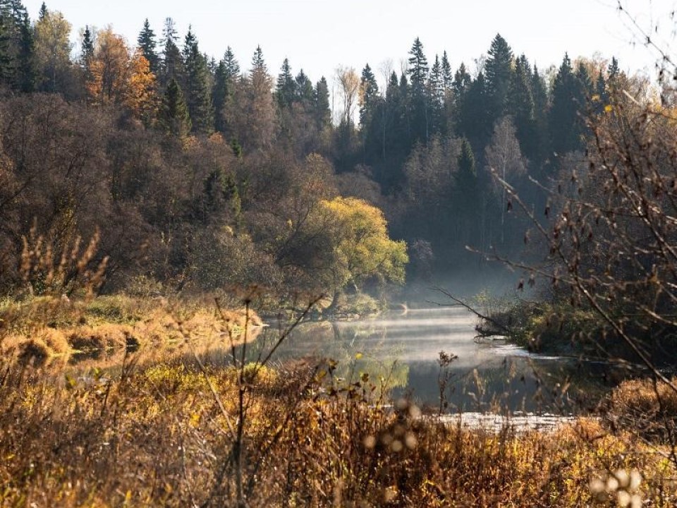 Заповедный уголок Подмосковья: какие редкие существа скрываются в долине у Кратово