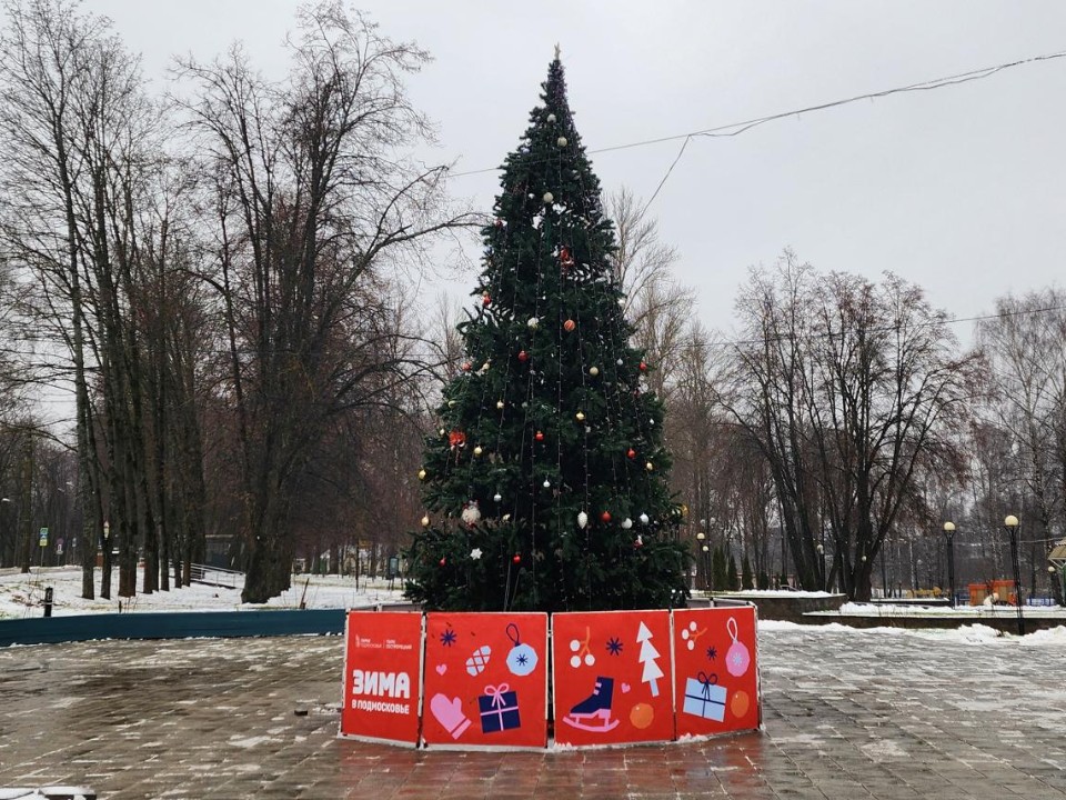 В Сестрорецком парке установили семиметровую елку к Новому году