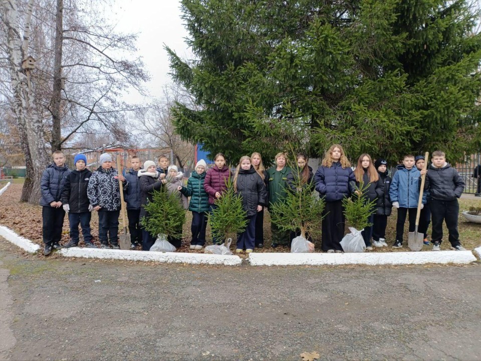 От саженца до аллеи: почему двор школы № 8 в Егорьевске становится настоящим лесом