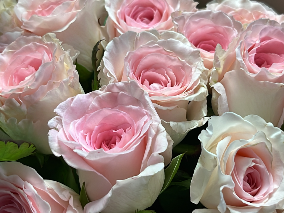 Поздравления с Днем матери получают реутовчанки