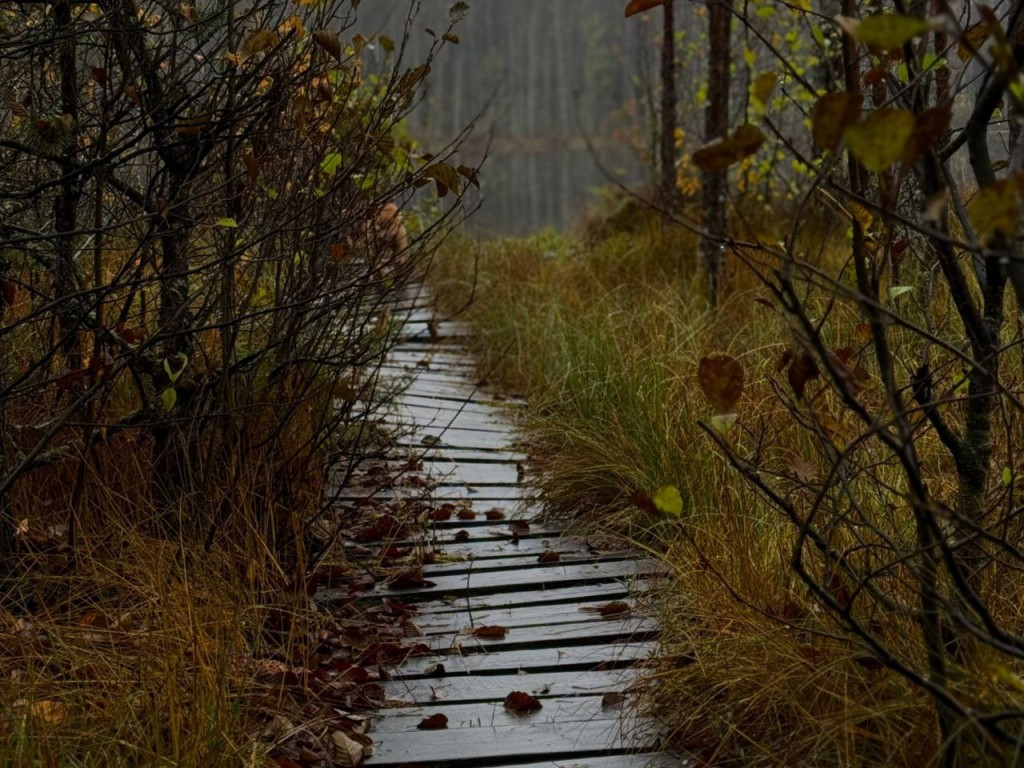 Забытый народный ритуал на 16 ноября: как в Анну Холодную избавиться от порчи и сглаза раз и навсегда