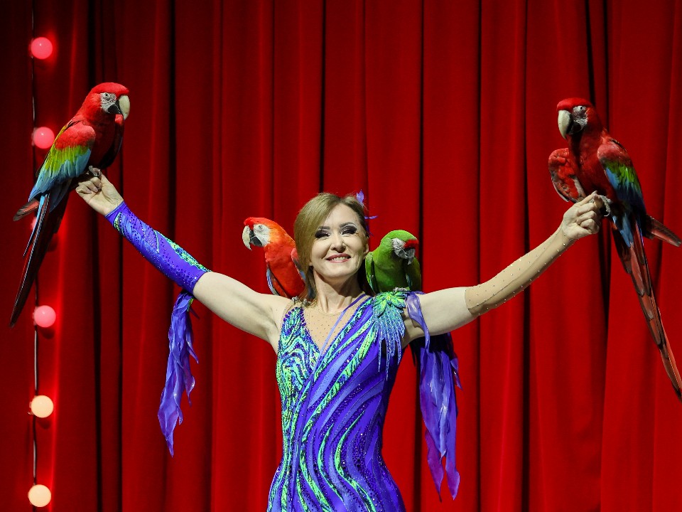 Жизнь после взрыва: травмированного мальчика из Красногорска пригласили в Московский цирк