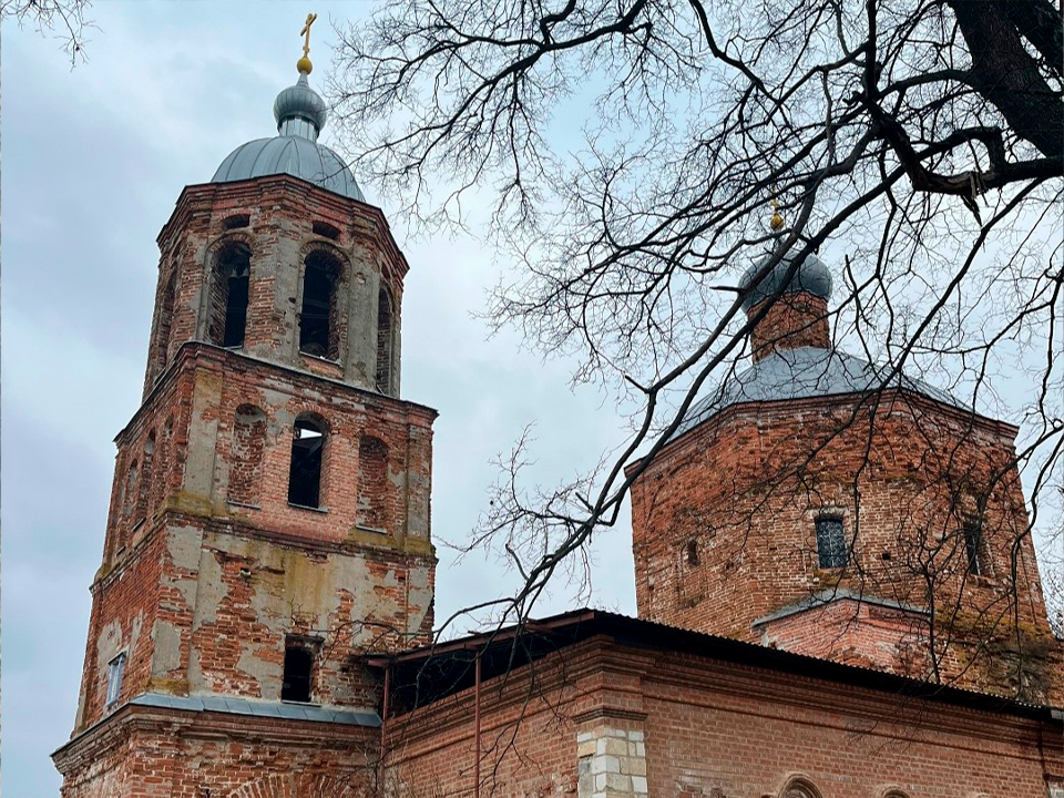 Там, где выросло генеалогическое древо: зарайские энтузиасты воссоздают историю деревни Струпна