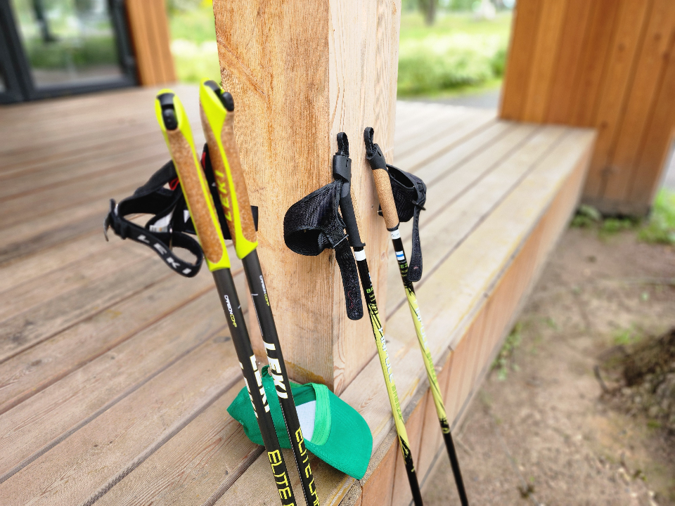 Бесплатное занятие по скандинавской ходьбе: когда и где пройдет мастер-класс