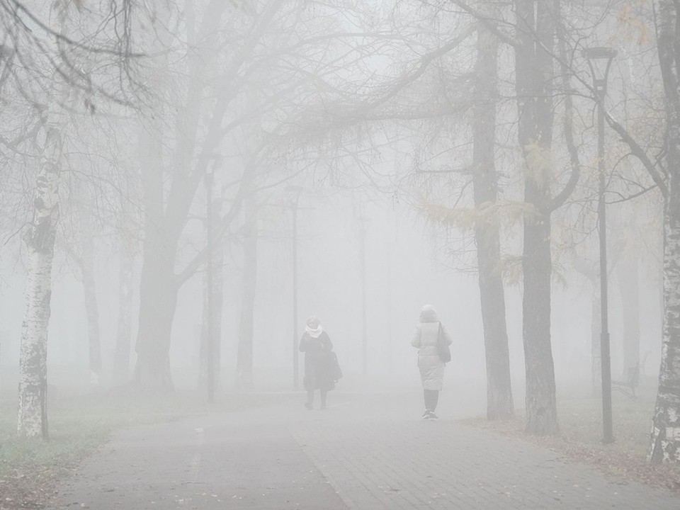 Туман задержится в Пушкино до 10-11 часов 5 ноября