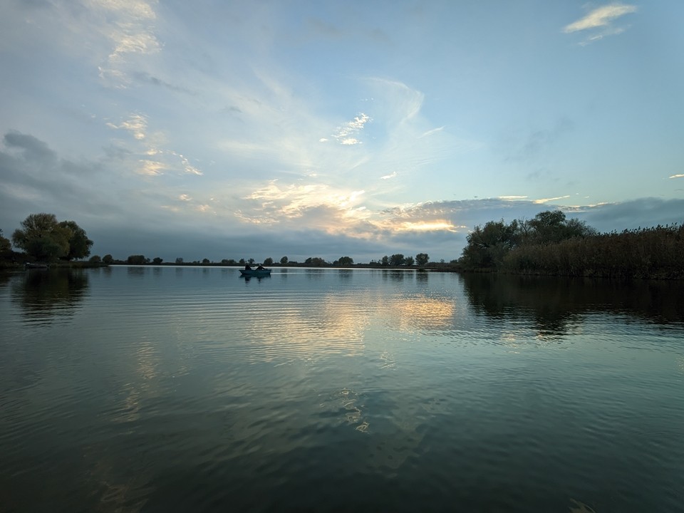 «Это было страшно»: чупакабра и гуманоид заставили понервничать жителей Чехова и Серпухова