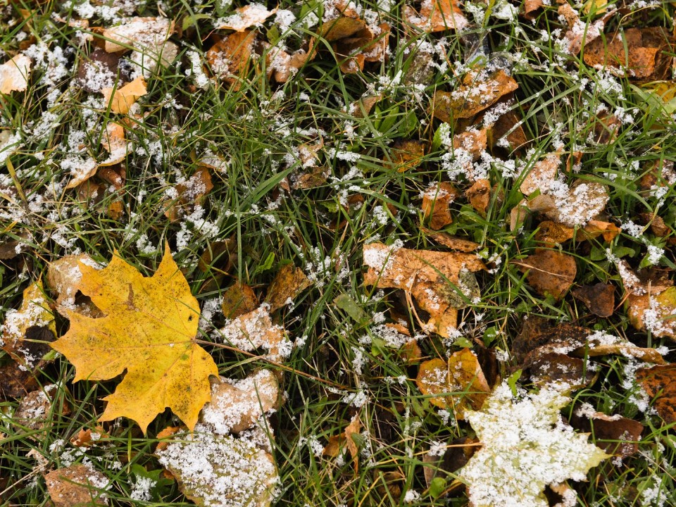 Похолодает на улице и пойдет мокрый снег: когда в Волоколамске начнется зима