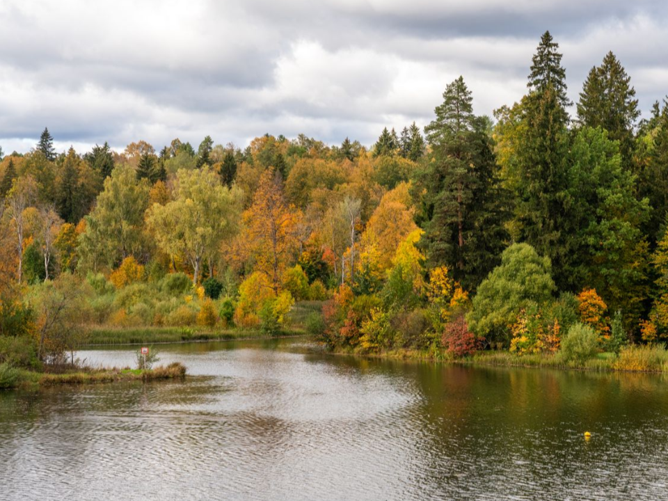 Цена одного заплыва: человек погиб на воде в Подмосковье за сутки