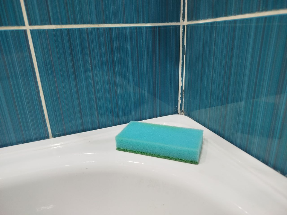 Как победить плесень в ванной: убираем черный налет навсегда с помощью двух средств с кухни