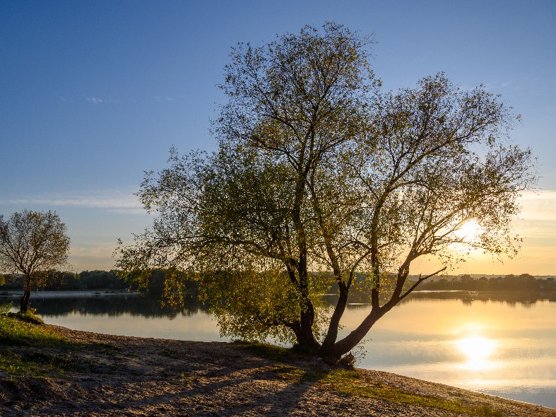 В Подмосковье выявили заборы на берегах рек: как гражданам вернуть свободный проход к водоемам