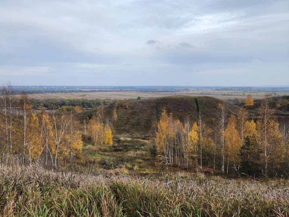 Какая погода ожидает жителей Подмосковья во вторник, 11 ноября