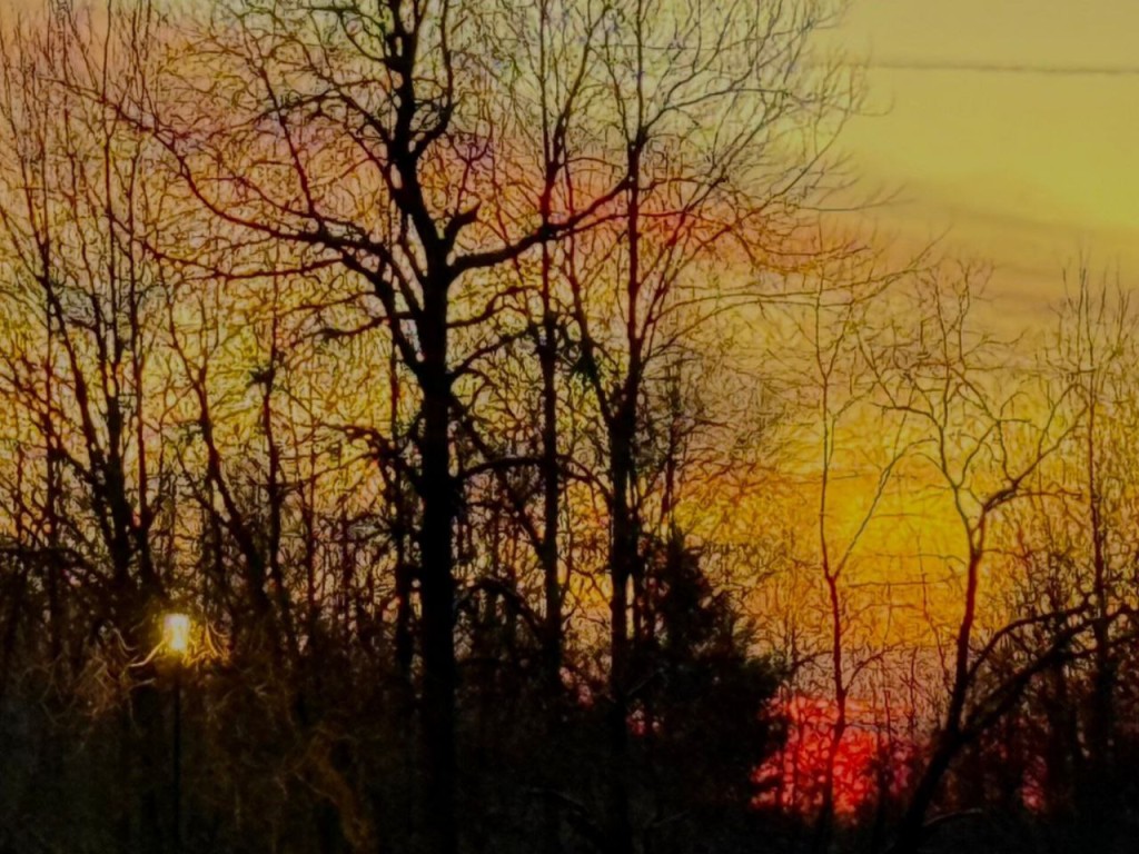 Синоптик Вильфанд спрогнозировал резкое потепление в Подмосковье 18 ноября