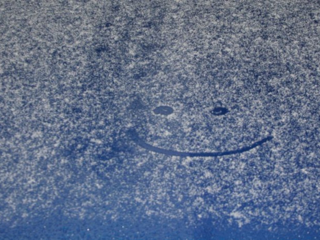 Снега в ноябре 2025 синоптики не обещают