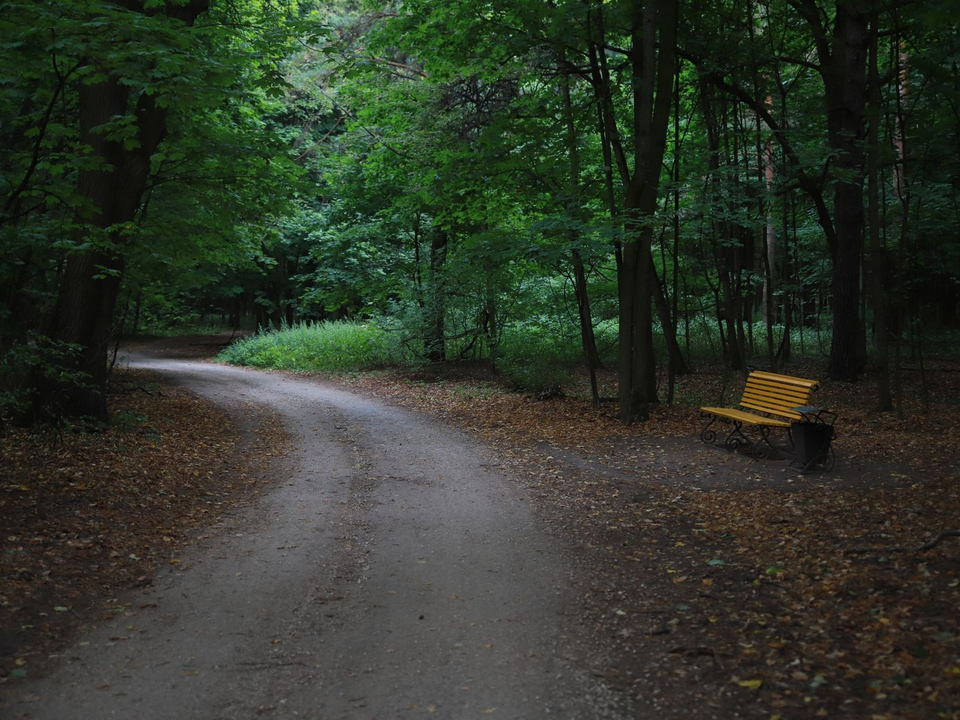Темнота в Кузьминском лесопарке: что случилось с освещением и когда его включат