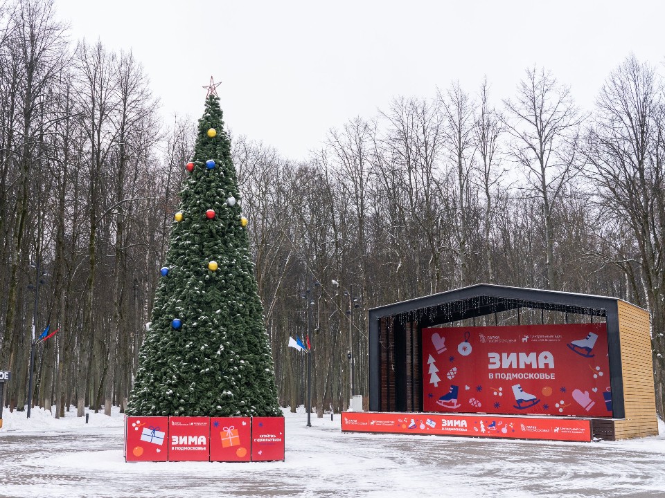 Новый год все ближе: у Кучинского пруда поставили елку