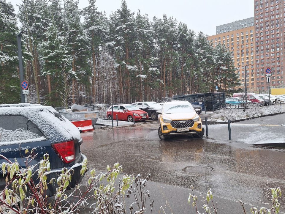 Мощная волна тепла превратит ноябрь в май? Синоптик Леус дал неожиданный прогноз погоды для Подмосковья