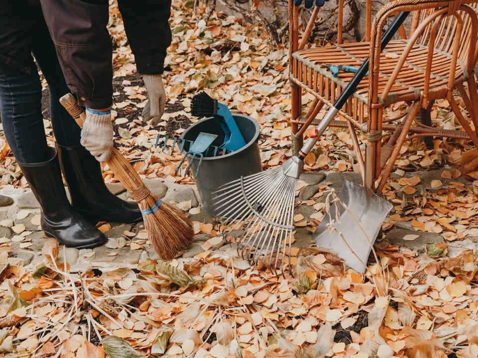 Дождь и потепление до +10°C ожидаются в четверг