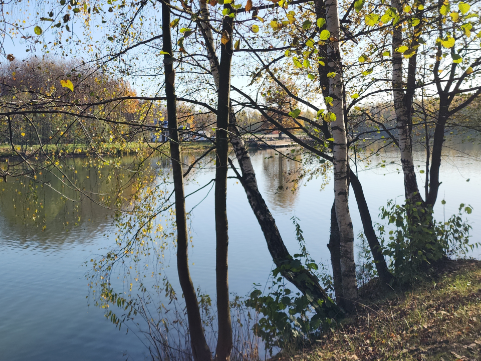 Чтобы не случилось пожара: спасательный отряд провел рейды по электростальским лесам