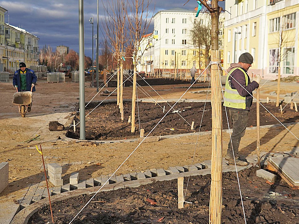 Перекроить карту Ступина: как новые деревья изменят проспект Победы